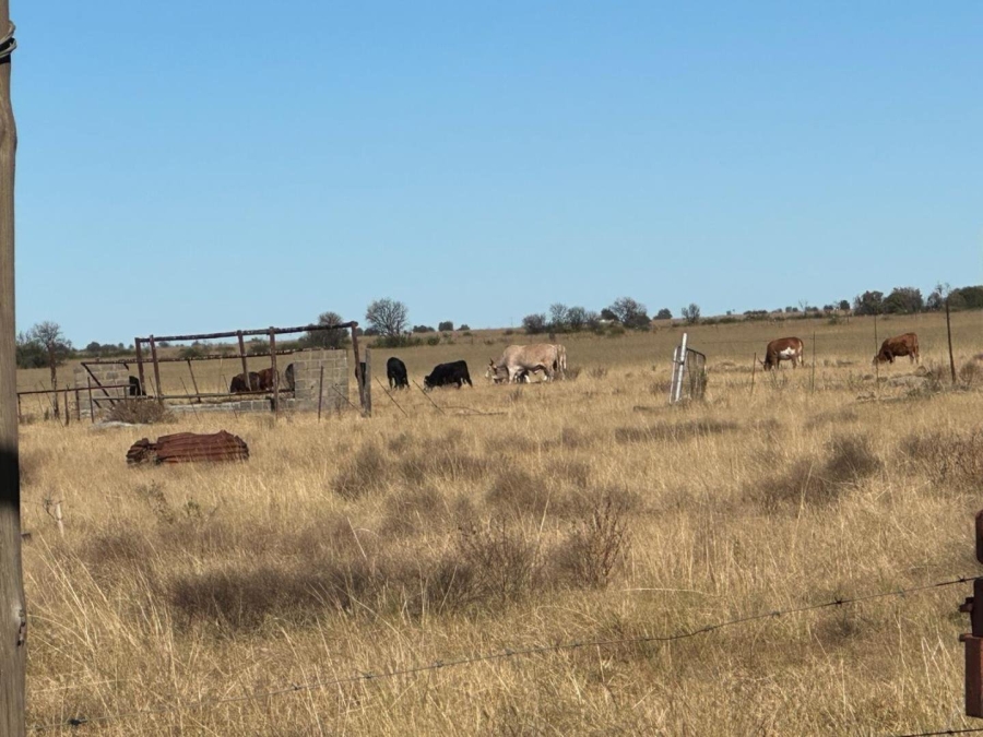 Commercial Property for Sale in Leeudoringstad North West